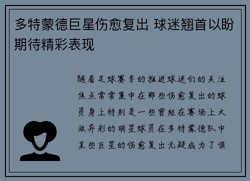 多特蒙德巨星伤愈复出 球迷翘首以盼期待精彩表现
