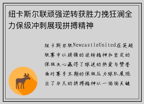 纽卡斯尔联顽强逆转获胜力挽狂澜全力保级冲刺展现拼搏精神