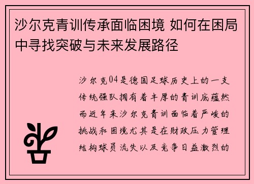沙尔克青训传承面临困境 如何在困局中寻找突破与未来发展路径