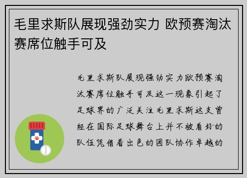毛里求斯队展现强劲实力 欧预赛淘汰赛席位触手可及